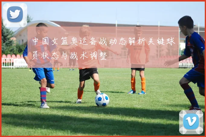 中国女篮奥运备战动态解析关键球员状态与战术调整